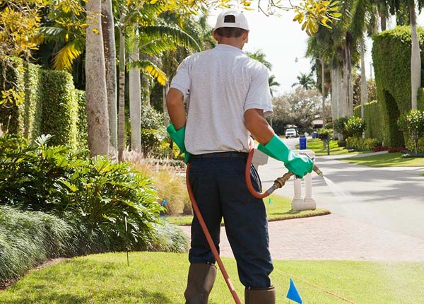 About Waynesboro VA Pest Control